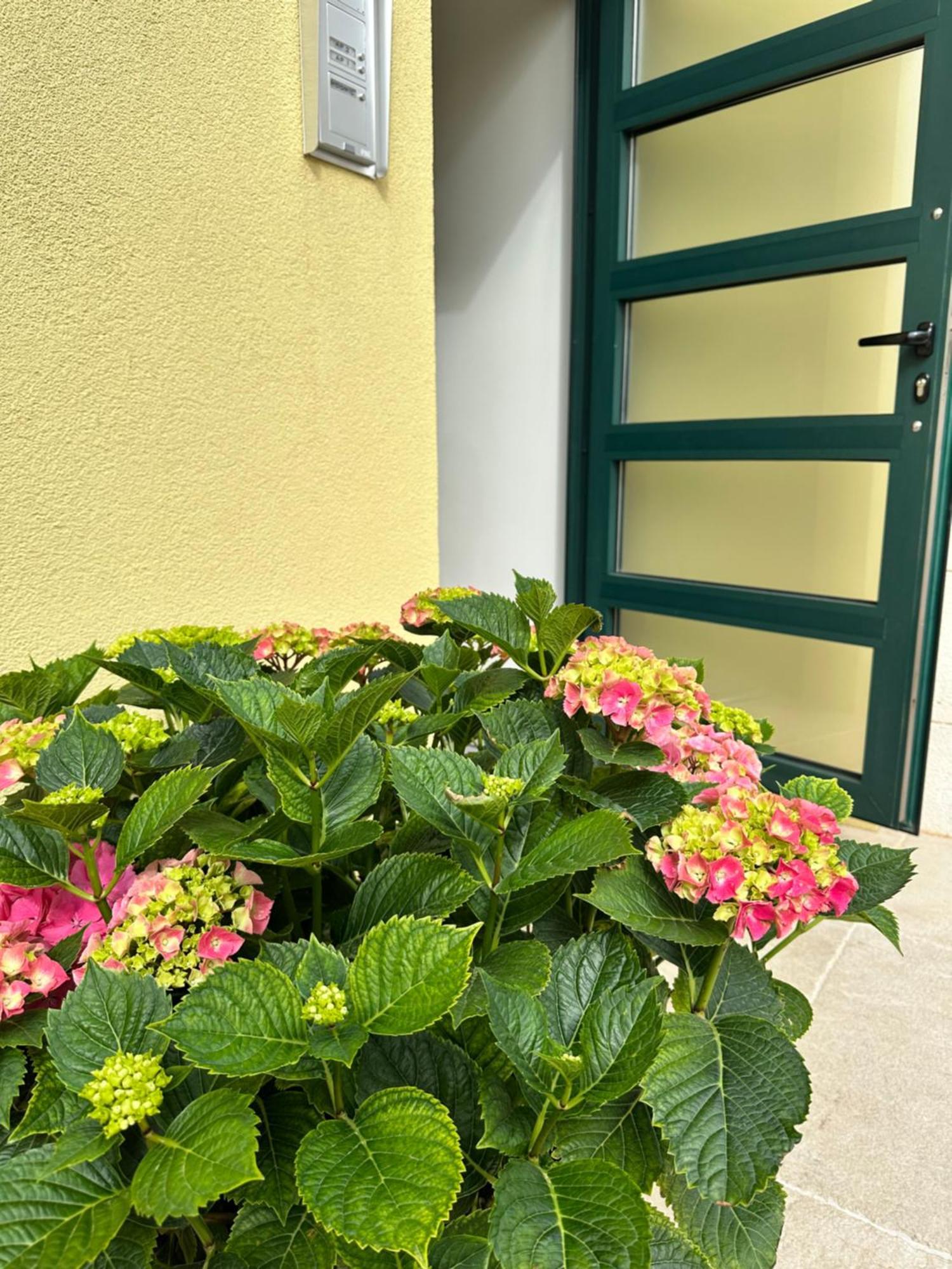 Apartman Navigantes Superior *